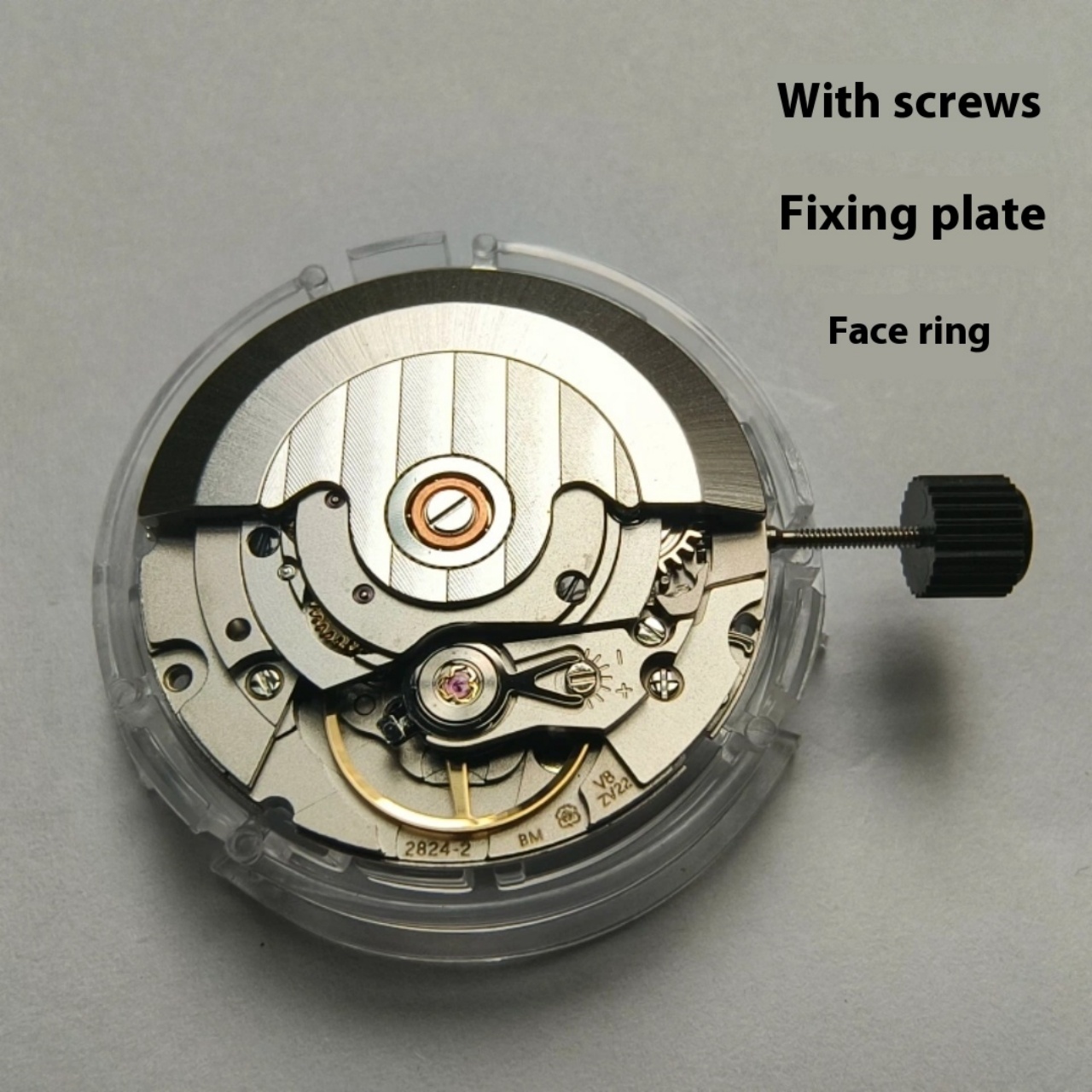 V8 Stainless Steel Eco-Friendl - Watch V8 review and price