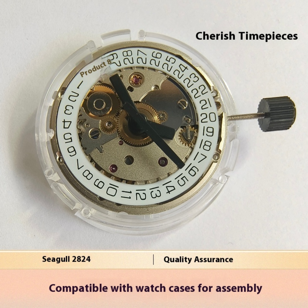 V8 Stainless Steel Eco-Friendl - Watch V8 review and price